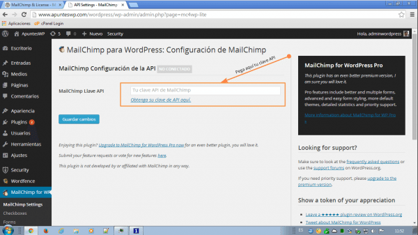 MailChimp for WordPress (1) Configuracion de la API