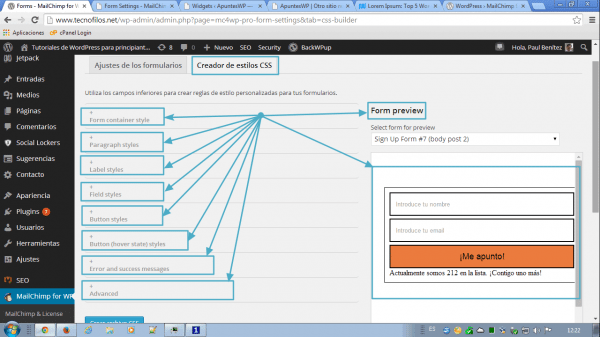 MailChimp for WordPress. Creador de estilos CSS