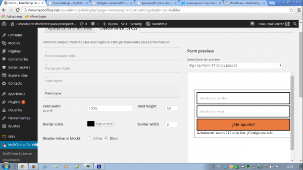 MailChimp for WordPress. Estilos para los campos