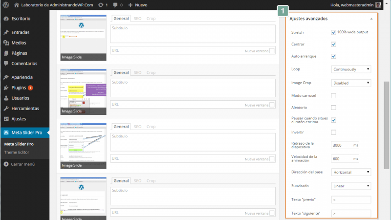 Meta Slider Pro. Un breve repaso a los ajustes avanzados