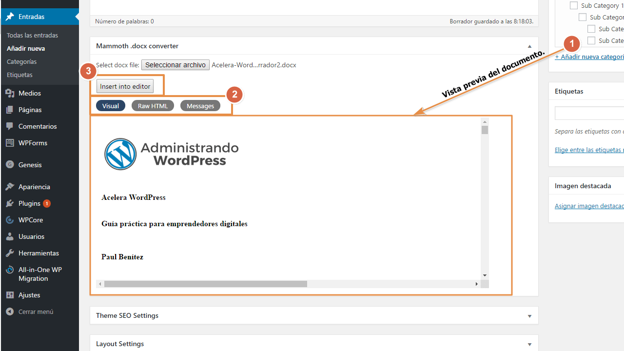 Opciones antes de insertar un Word con mammoth docx converter