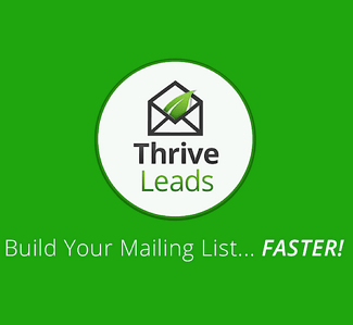 Thrive-Leads-325-300 Thrive-Leads-325-300