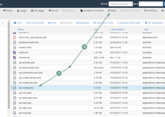 Edita el archivo wp-config.php con el editor de código de Webempresa.