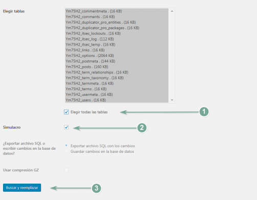 Opciones de configuración adicionales del plugin Seach & Replace.