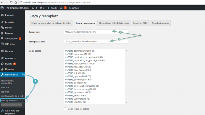 Opciones de configuración del plugin Seach & Replace.