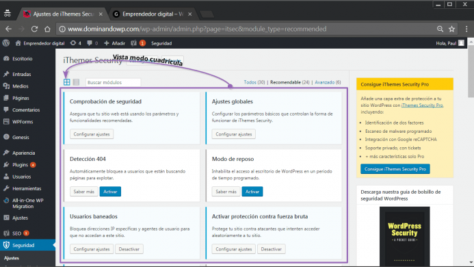 El modo vista cuadrícula de iThemes Security