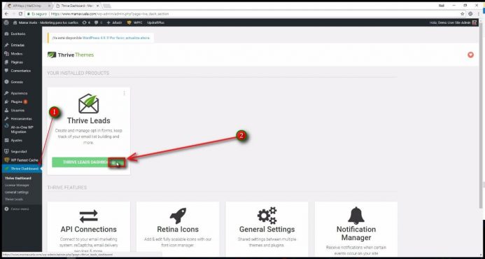 Clic en Thrive Leads Dashboard