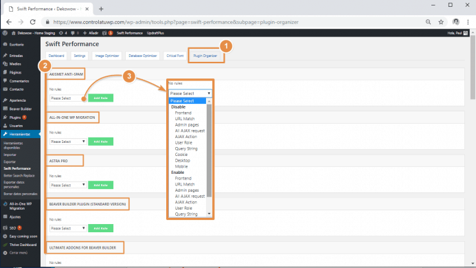 Detalles de configuración de la opción plugin organizer de swift performance