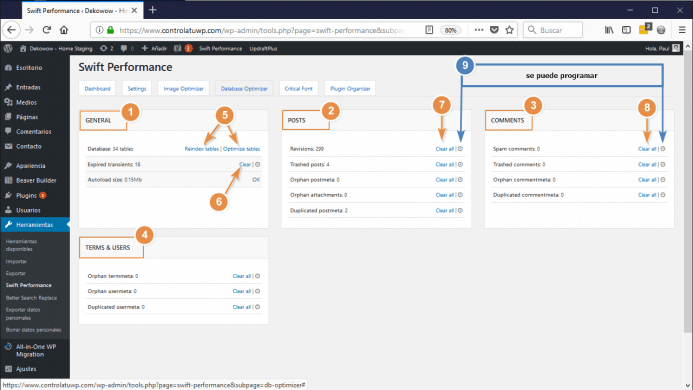 Detalles de la configuracion Database Optimizer de swift performance